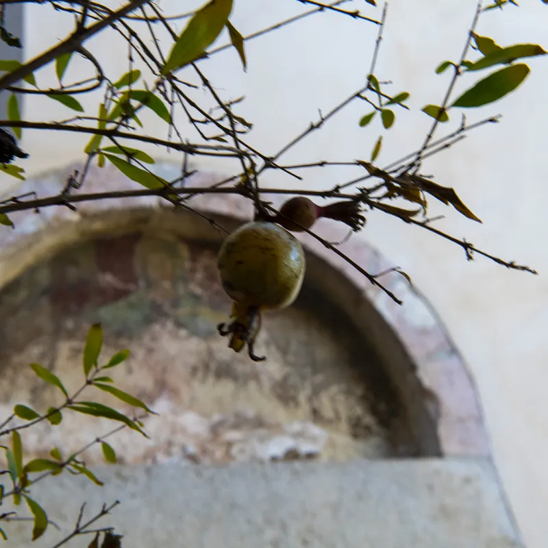 Chiesa della Madonna del Gonfalone