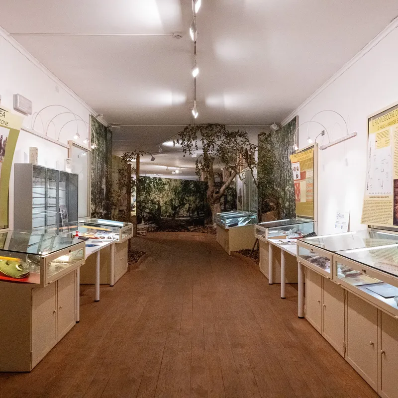 Museo di Storia Naturale