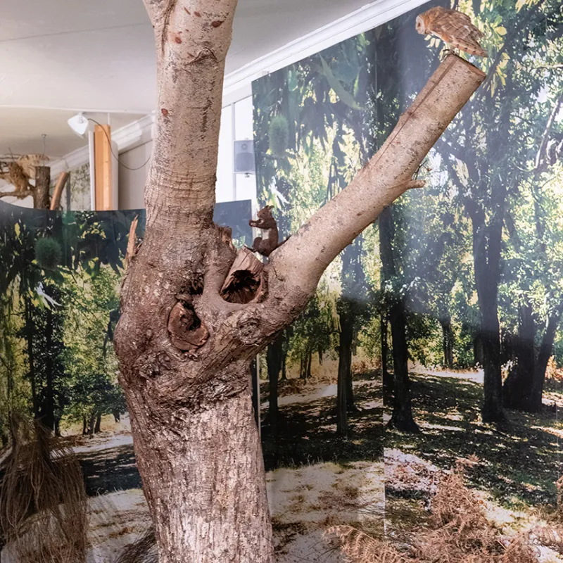 Museo di Storia Naturale