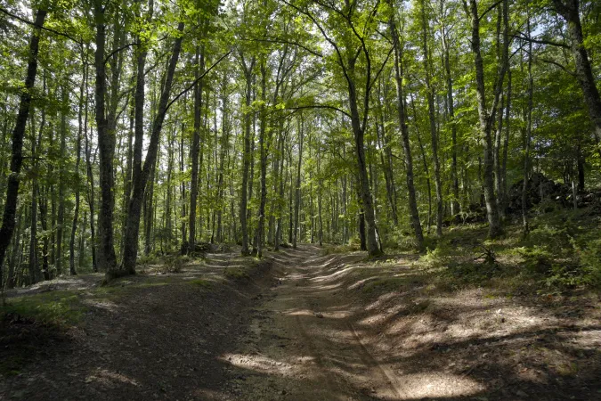 Pasquetta 2026 tra natura, cammino e convivialità
