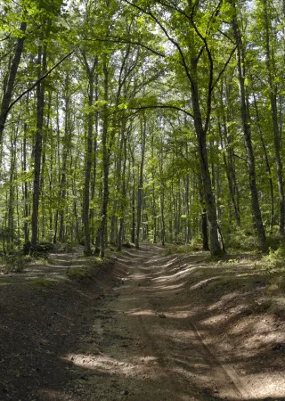 Pasquetta 2026 tra natura, cammino e convivialità