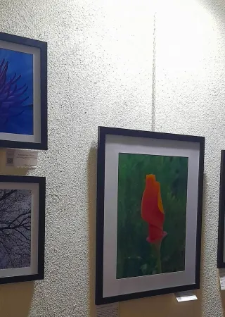"Dalla goccia al colore – Un percorso di rinascita"