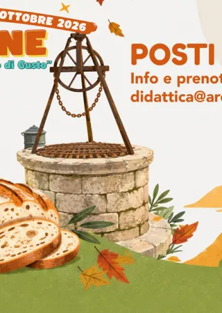  Stroncone, un ottobre tra cultura, tradizioni e natura